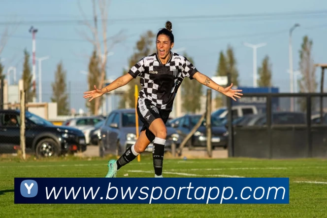 宝威体育APP平台生态图